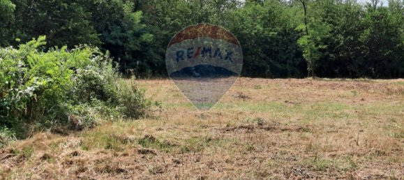 7925m² Land in Turbigo, Italy No. 289734 2