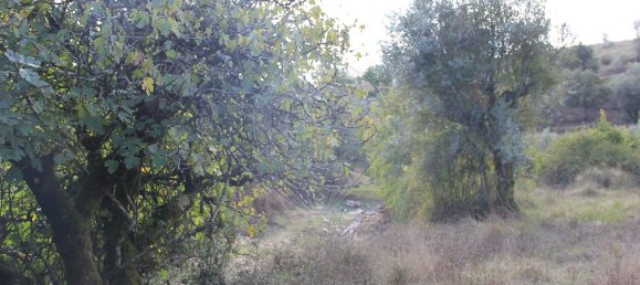 2 Schlafzimmer Haus in Ansiao, Portugal, Nr. 25927 26