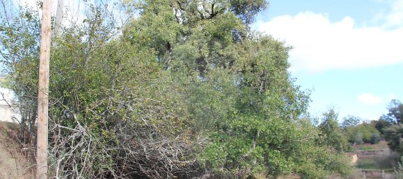 2 Schlafzimmer Haus in Ansiao, Portugal, Nr. 25927 3