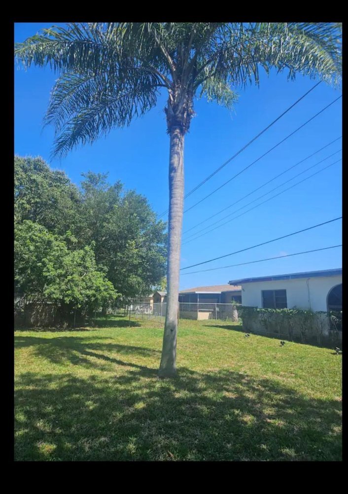 Vivenda T3 em Miami, EUA N.º 613642