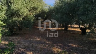 Земельный участок 4895м² в Андалусия, Испания № 200139