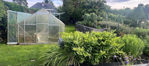 Terrain à Unstrut-Hainich-Kreis, Germany No. 229462 2