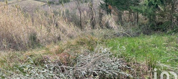 Terreno de 1 habitación en Mandela, Italy No. 159800 3