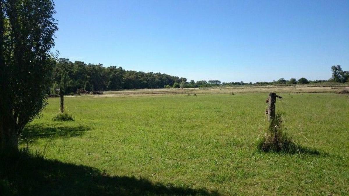  Land in Campo Creado, Argentina No. 49287