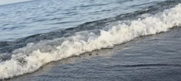 Apartamento de 1 dormitorio en Torremolinos, Spain No. 160336 27