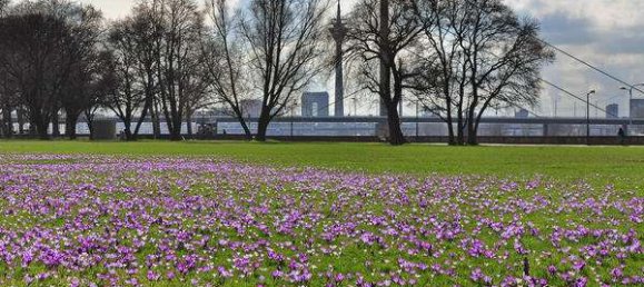 4 Schlafzimmer Wohnung in Düsseldorf, Germany, Nr. 10333 6