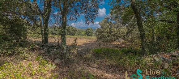 Дом с 3 спальнями в Тельти, Италия № 340783 33