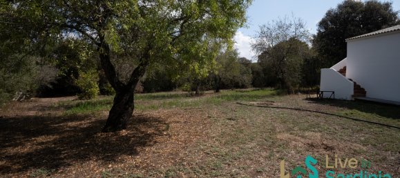 Дом с 3 спальнями в Тельти, Италия № 340783 2