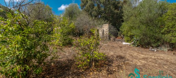 Дом с 3 спальнями в Тельти, Италия № 340783 31