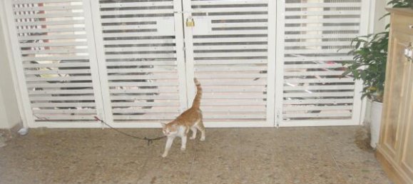 3 bedrooms House in Tay Ho, Vietnam No. 7080 3