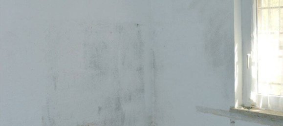 5 bedrooms House in Bayreuth, Germany No. 192463 15