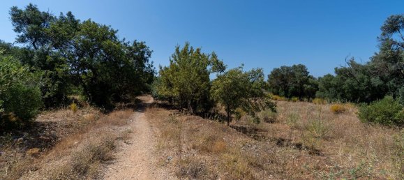 Terreno en Loule, Portugal 4115 m² No. 37663 46