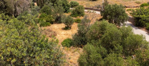 Terreno en Loule, Portugal 4115 m² No. 37663 14