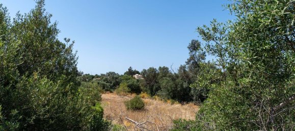 Terreno en Loule, Portugal 4115 m² No. 37663 22