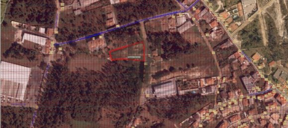  قطعة أرض في Oliveira de Azemeis, Portugal 3228متر مربع رقم 73606 4