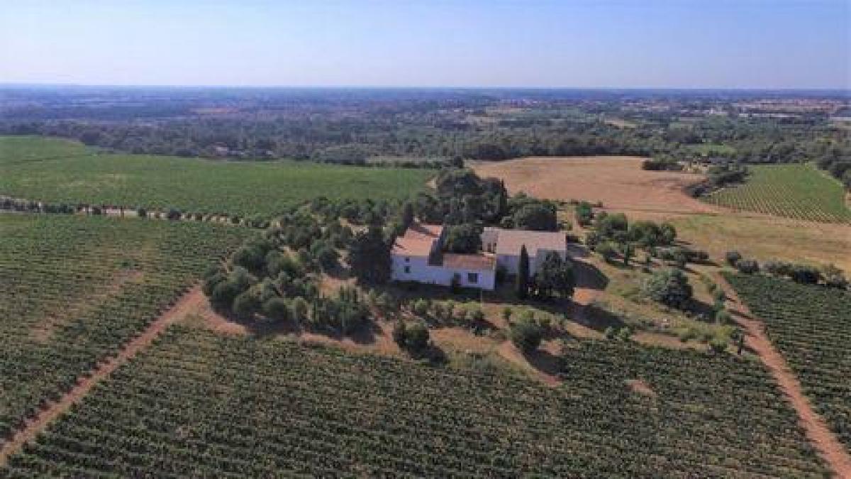 8 chambres Maison à Lunel, France No. 31219