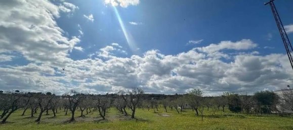 Terrain à Ostuni, Italy 4200m² No. 343534 3