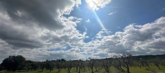 Terrain à Ostuni, Italy 4200m² No. 343534 2