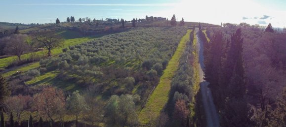 16 bedrooms House in Asciano, Italy No. 170885 6