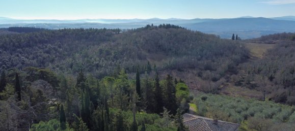 16 bedrooms House in Asciano, Italy No. 170885 5