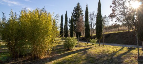 16 bedrooms House in Asciano, Italy No. 170885 4