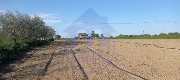 Terrain à Cervia, Italy 7280m² No. 72118 2