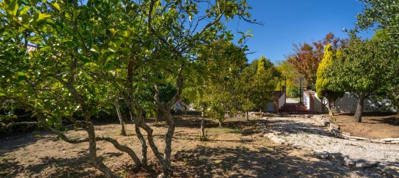Casa T3 em Aljubarrota, Portugal N.º 151311 13