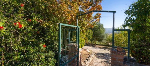 Casa T3 em Aljubarrota, Portugal N.º 151311 8