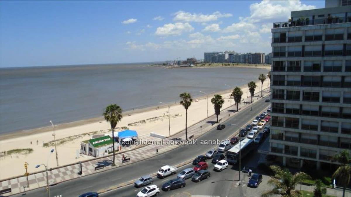3 bedrooms Apartment in Montevideo, Uruguay No. 7504