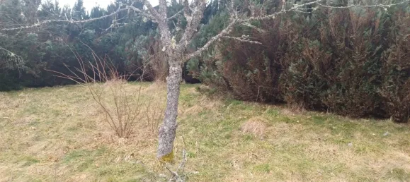 Terreno en Gerardmer, France 822 m² No. 352396 6