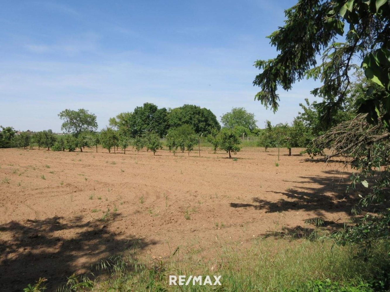 Terrain à Marchegg, Austria No. 238010