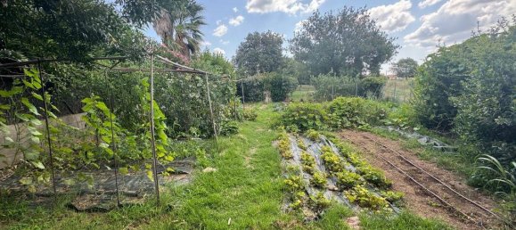 Villa de 5 dormitorios en Pyrenees-Orientales, France No. 295865 21