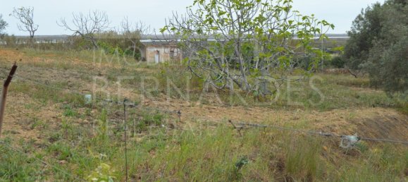 2 bedrooms House in Olhao, Portugal No. 128642 13