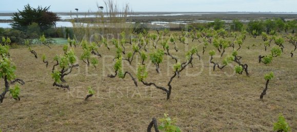 2 bedrooms House in Olhao, Portugal No. 128642 20