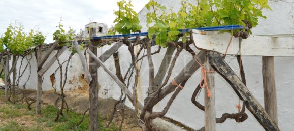 2 bedrooms House in Olhao, Portugal No. 128642 21