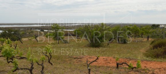 2 bedrooms House in Olhao, Portugal No. 128642 19