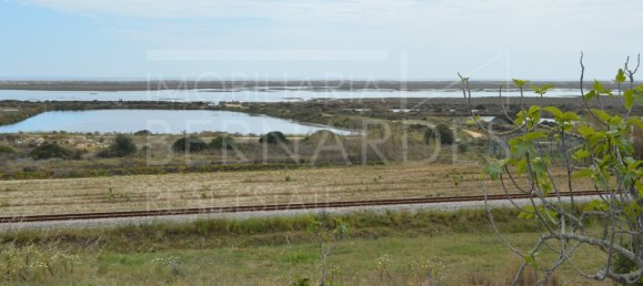 2 bedrooms House in Olhao, Portugal No. 128642 17