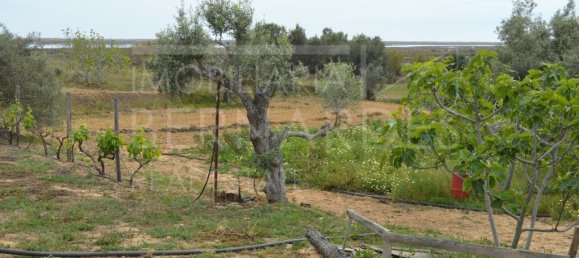 2 bedrooms House in Olhao, Portugal No. 128642 11