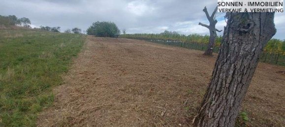 1-Zimmer Grundstück in Wien, Austria, Nr. 48857 10