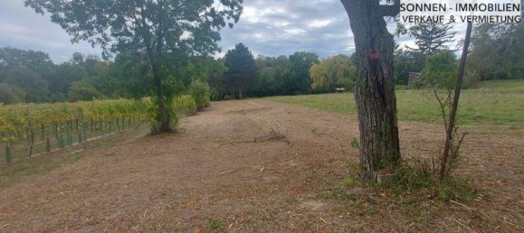 1-Zimmer Grundstück in Wien, Austria, Nr. 48857 16