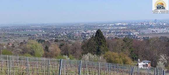 1-Zimmer Grundstück in Wien, Austria, Nr. 48857 2