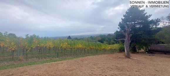 1-Zimmer Grundstück in Wien, Austria, Nr. 48857 12