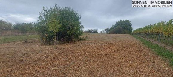 1-Zimmer Grundstück in Wien, Austria, Nr. 48857 13