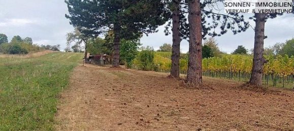 1-Zimmer Grundstück in Wien, Austria, Nr. 48857 17