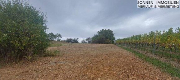 1-Zimmer Grundstück in Wien, Austria, Nr. 48857 14