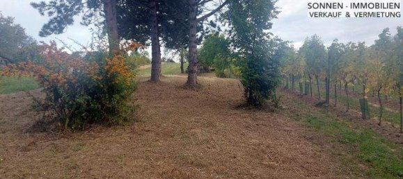 1-Zimmer Grundstück in Wien, Austria, Nr. 48857 7