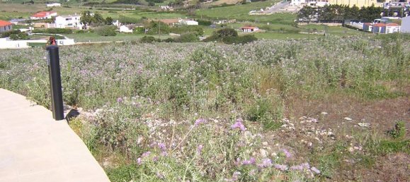  قطعة أرض في Es Mercadal, Spain 300متر مربع رقم 3754 4