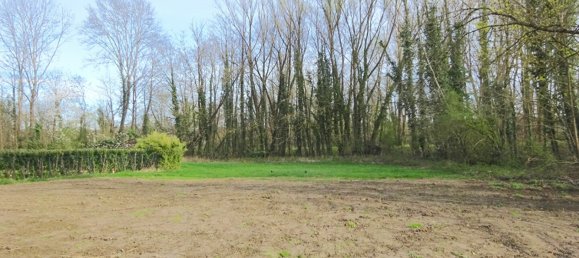 Grundstück in Haut-Rhin, France, Nr. 74872 2