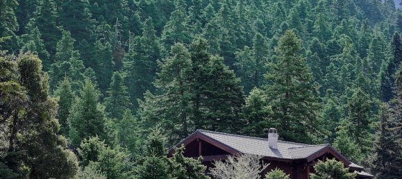 Imóvel comercial em Boeotia, Greece 128 m² N.º 5769 2