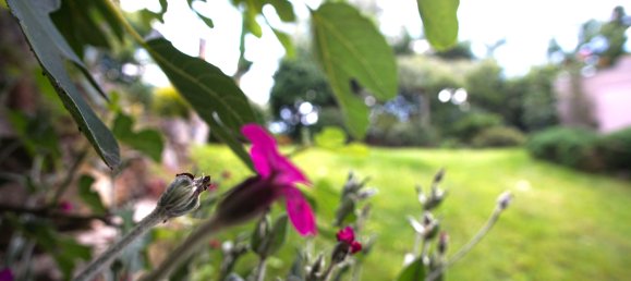 Adosado de 7 habitaciónes en Rhein-Neckar-Kreis, Germany No. 261374 17